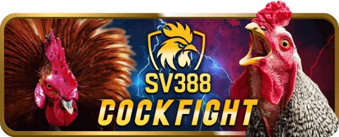 Biện pháp bảo mật dữ liệu 566 game